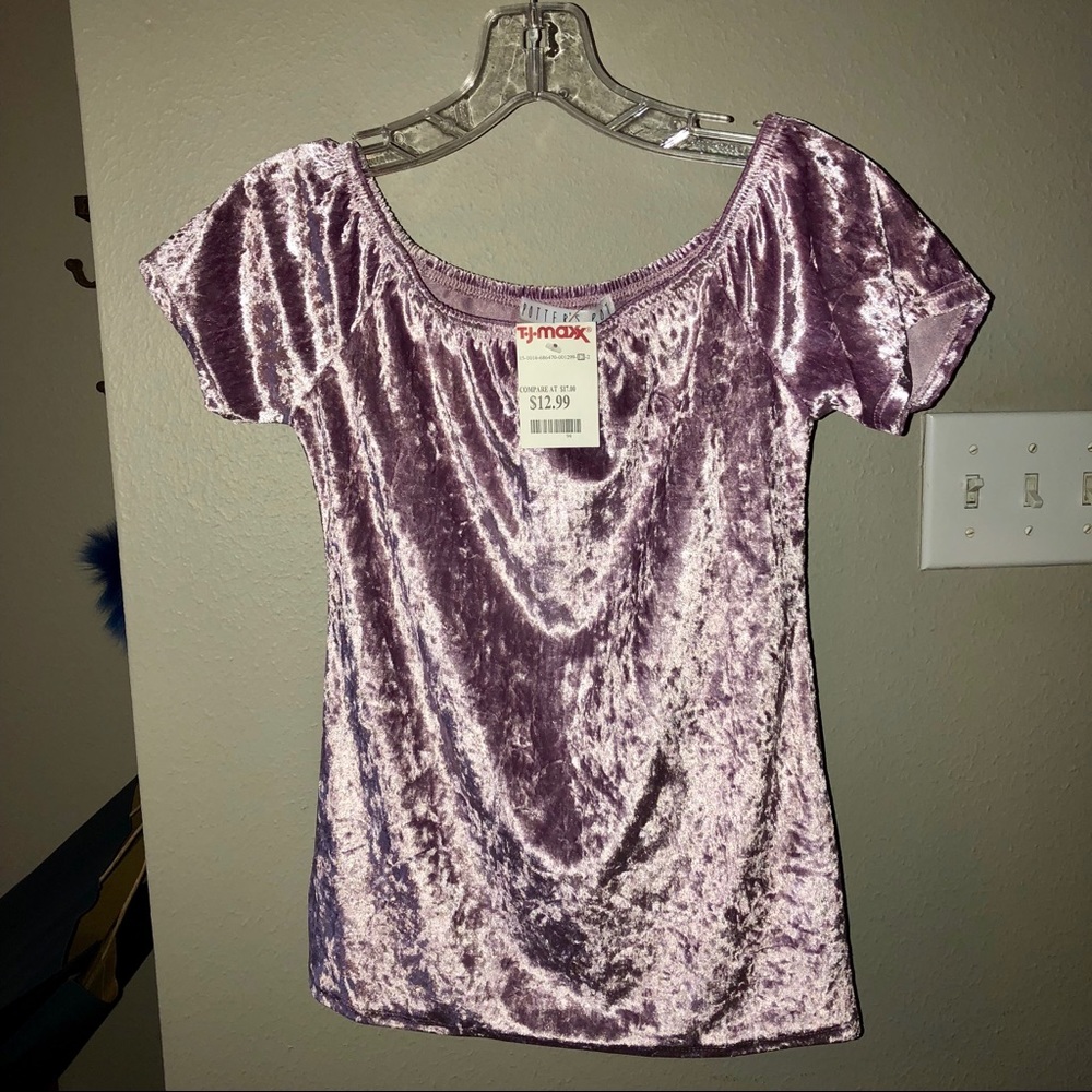 NEVER WORN Velvet Light Purple Top